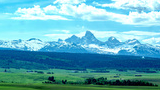 Rolling green fields leading to a dark forest with snow-capped mountain peaks and a blue sky with scattered clouds above