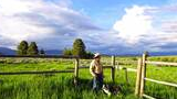 Man standing with a dog in a green grassy field next to a wooden fence under a partly cloudy blue sky
