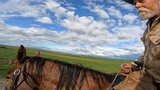 Bearded man wearing a wide-brimmed hat riding a brown horse in an open grassy field under a partly cloudy blue sky
