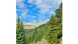 Mountain landscape with rocky peaks in the distance under a blue sky with scattered clouds, dense green conifer trees covering the slopes and a rocky hillside in the foreground