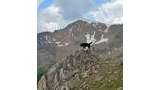 Black dog standing on a rocky alpine cliff with rugged mountains and patches of snow in the background under a partly cloudy sky