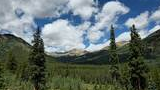 Mountain valley landscape with dense evergreen forest, tall pine trees, and a partly cloudy blue sky