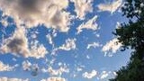 Blue sky with scattered clouds above silhouettes of trees and grassy field in the late afternoon