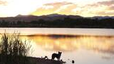 Dog standing on a small peninsula by a calm lake with the sunset reflecting on the water and mountains in the background