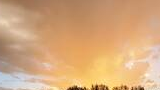 Golden sunlight illuminating a field with tall grasses and a row of trees silhouetted against a sky with a mix of orange and blue hues and scattered clouds
