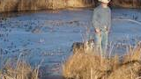 Man standing near a frozen pond surrounded by dry grasses and bare trees with a dog beside him