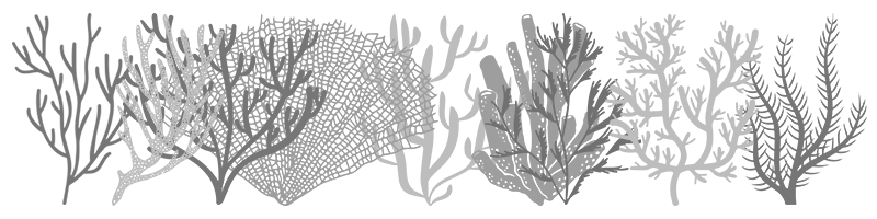 various stylized coral shapes arranged in a horizontal pattern