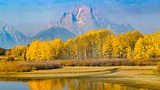 Calm body of water reflecting a line of bright yellow autumn trees with a tall, rocky mountain under a clear blue sky in the background