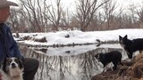 Man in a cowboy hat sitting beside a creek with two black and white dogs near the snowy bank with leafless trees reflected in the water