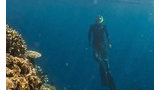 A diver with snorkeling gear and fins suspended underwater near a vibrant coral reef