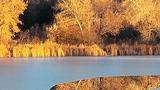 Golden light illuminating leafless trees and tall grasses reflected in a partially frozen, calm body of water