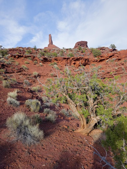 Desert landscape with reddish soil, scattered shrubs, a twisted juniper tree in the foreground, and two distinctive rock formations under a partly cloudy sky