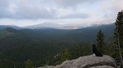 Black and white dog sitting on a large rock overlooking a forested mountain landscape under a cloudy sky