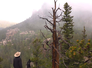 Person wearing a hat standing on rocks next to a black dog, overlooking a misty forested mountain landscape with a tall dead tree in the foreground