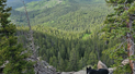 black and white dog lying on a large rock overlooking a dense forest with mountains in the distance under a partly cloudy sky