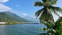 Calm blue ocean with a palm tree in the foreground, a wooden pier extending into the water, and a smoking volcano with surrounding green mountains in the background under a clear sky