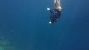 Person diving headfirst into deep blue ocean water near a sea turtle visible at the bottom left