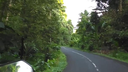 Hand gripping the handlebar of a motorcycle on a winding road surrounded by dense green tropical trees and plants