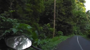 View of a winding road surrounded by dense tropical greenery with a hand on the handlebars of a motorbike