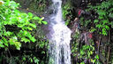 small waterfall cascading down mossy rocks surrounded by lush green tropical vegetation
