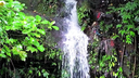 Small waterfall cascading down mossy rocks surrounded by dense green tropical forest foliage