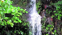 Narrow waterfall cascading down mossy rocks surrounded by dense green tropical foliage