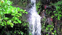 narrow waterfall cascading down mossy rocks surrounded by dense green tropical foliage