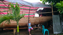 A young person standing barefoot on one foot, leaning against a wooden pole under a colorful striped tarpaulin shelter next to a large wooden boat hull, with a small palm tree and a blue plastic chair nearby