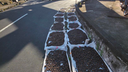 Several large white sheets spread on the ground along a roadside, each covered with many dark round nuts drying in the sunlight near a white gate with blue accents and nearby buildings