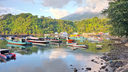 Calm harbor with several colorful boats moored near a rocky shore, dense green forested hills, and a mountain partially covered by clouds in the background
