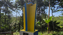 Yellow and blue monument with a perched bird statue on top, surrounded by lush tropical trees and plants under a clear blue sky