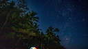 A brightly lit tent on a beach under a clear night sky filled with numerous stars and silhouetted palm trees