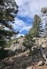 Rocky hillside with pine trees and a black and white dog sitting on top of the rocks under a partly cloudy blue sky