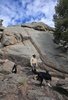 Man wearing a cowboy hat and beige jacket standing on rocky terrain with two black and white border collies near a large rock formation under a partly cloudy sky