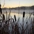 Tall dry cattails and reeds in silhouette against a calm river with early morning mist and a pale yellow sunrise sky