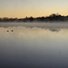 Calm river at sunrise with mist rising above the water and silhouetted trees along the far shore