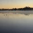 Calm river at dawn with a light mist hovering above the water and silhouettes of trees along the distant shore under a soft orange sky