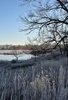Mist rising over a calm river with frost-covered grasses and leafless trees in the foreground under a clear blue sky