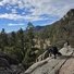 Black and white dog standing on rocky terrain overlooking a forested valley with distant mountains under a partly cloudy sky