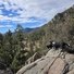 Two black and white border collies standing on a rocky outcrop overlooking a forested valley with distant mountains under a partly cloudy blue sky