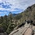 Two black and white border collies standing on a rocky outcrop overlooking a forested mountain valley under a partly cloudy sky