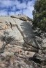 Large boulder with rough textured surface, dry grasses and small plants at its base, and evergreen trees casting shadows in sunlight under a partly cloudy sky
