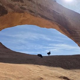 Two dogs walking on a large natural sandstone arch under a blue sky with scattered clouds
