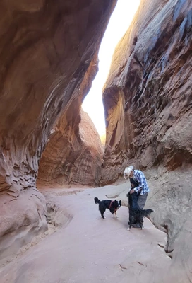 man wearing a hat and plaid shirt playing with two black dogs inside a narrow sandstone canyon with smooth, high rock walls