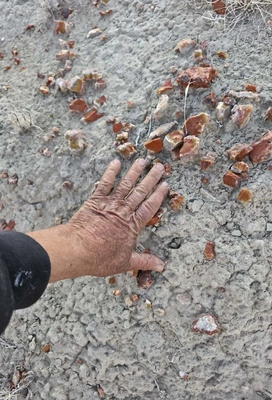 A weathered hand resting on cracked dry earth scattered with small, broken pieces of reddish-brown rocks