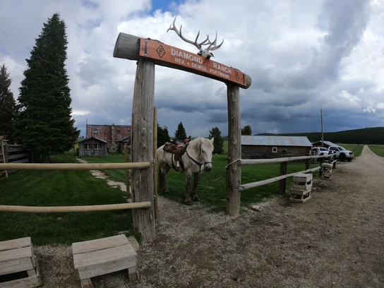 Saddled white horse tied to wooden gatepost beneath a ranch sign with elk skull and large antlers, with rustic buildings and pine trees in the background under a cloudy sky