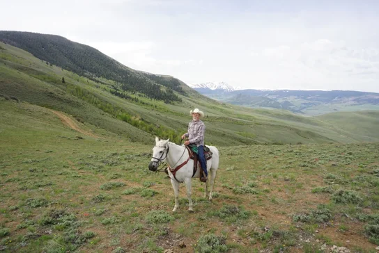 Man wearing a cowboy hat riding a white horse in a vast green mountainous landscape with snow-capped peaks in the distance