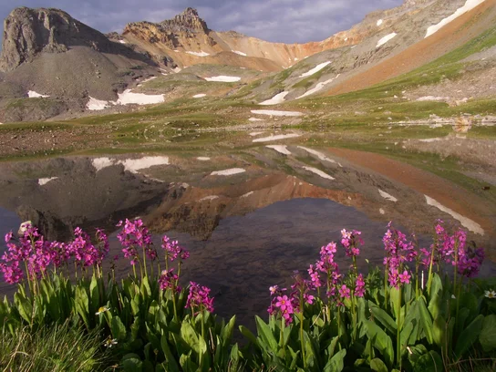 wpic680.webp