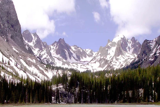 wpic780.webp
