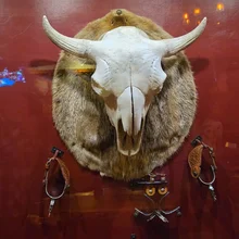 Mounted animal skull with large curved horns on a round fur backing, displayed on a red wall with two leather-and-metal horse spurs on either side